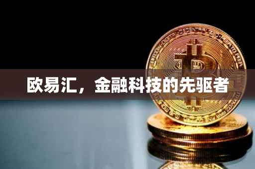 欧易汇，金融科技的先驱者