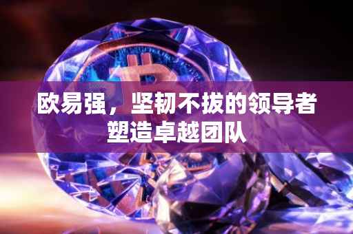 欧易强，坚韧不拔的领导者塑造卓越团队