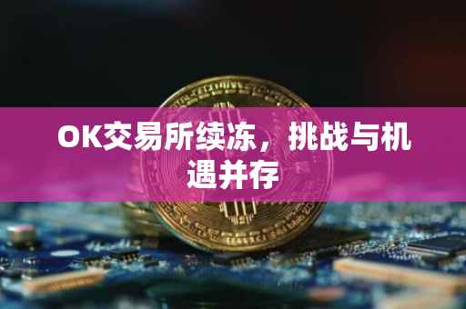 OK交易所续冻，挑战与机遇并存