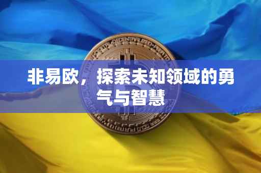 非易欧，探索未知领域的勇气与智慧