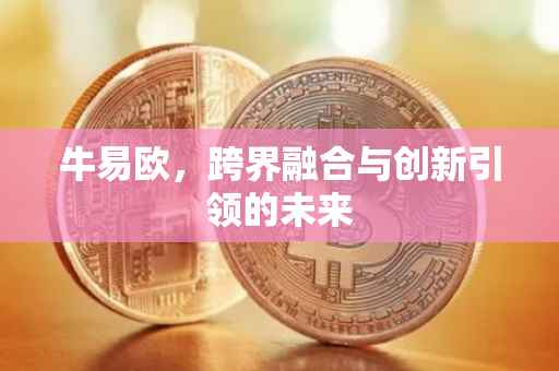 牛易欧，跨界融合与创新引领的未来