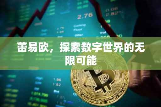蕾易欧，探索数字世界的无限可能