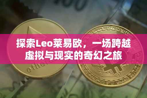 探索Leo莱易欧，一场跨越虚拟与现实的奇幻之旅