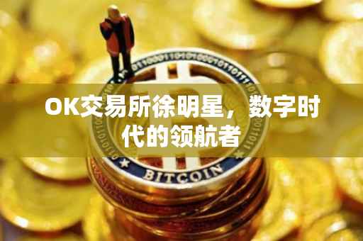 OK交易所徐明星，数字时代的领航者