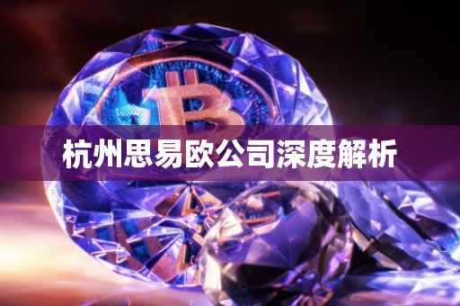杭州思易欧公司深度解析