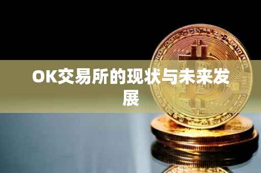OK交易所的现状与未来发展