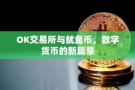 OK交易所与鱿鱼币，数字货币的新篇章