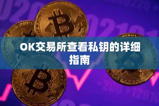 OK交易所查看私钥的详细指南