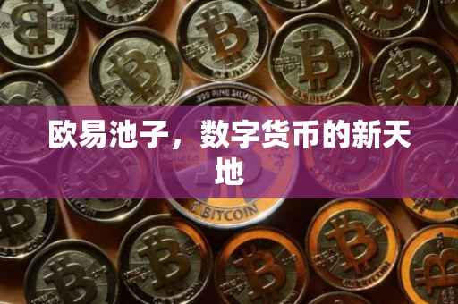 欧易池子，数字货币的新天地