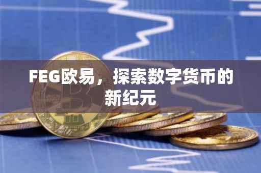 FEG欧易，探索数字货币的新纪元