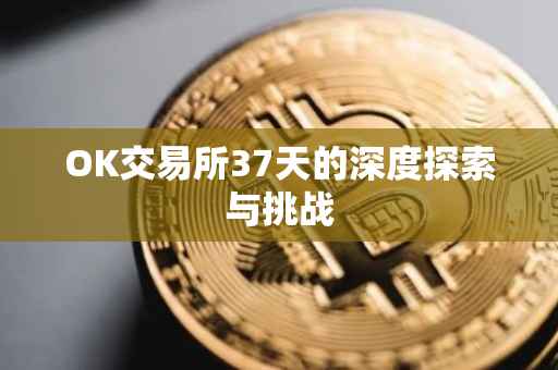OK交易所37天的深度探索与挑战