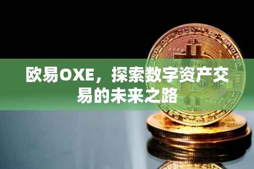 欧易OXE，探索数字资产交易的未来之路