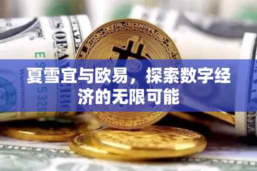 夏雪宜与欧易，探索数字经济的无限可能
