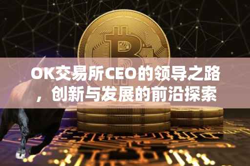 OK交易所CEO的领导之路，创新与发展的前沿探索
