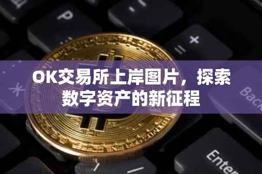 OK交易所上岸图片，探索数字资产的新征程