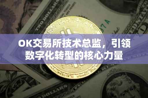 OK交易所技术总监，引领数字化转型的核心力量