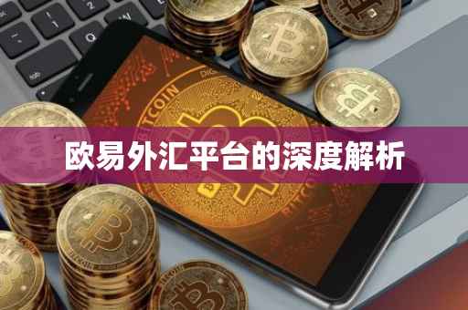欧易外汇平台的深度解析