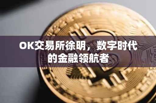 OK交易所徐明，数字时代的金融领航者