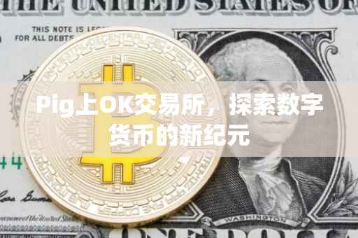 Pig上OK交易所，探索数字货币的新纪元