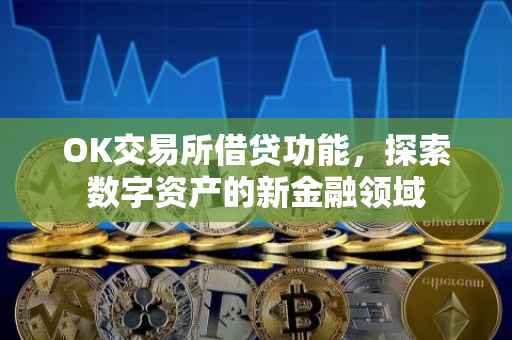 OK交易所借贷功能，探索数字资产的新金融领域