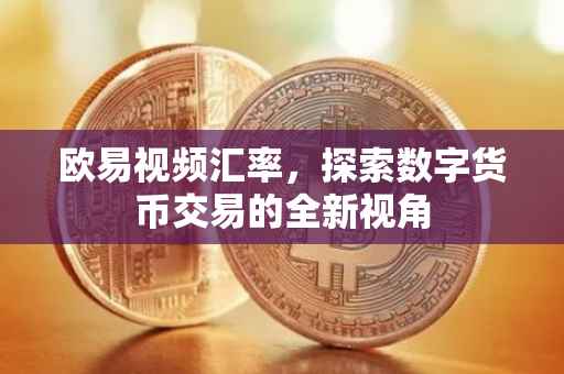 欧易视频汇率，探索数字货币交易的全新视角