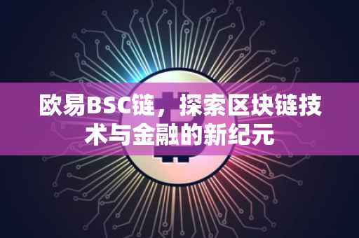 欧易BSC链，探索区块链技术与金融的新纪元