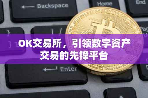 OK交易所，引领数字资产交易的先锋平台