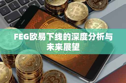 FEG欧易下线的深度分析与未来展望