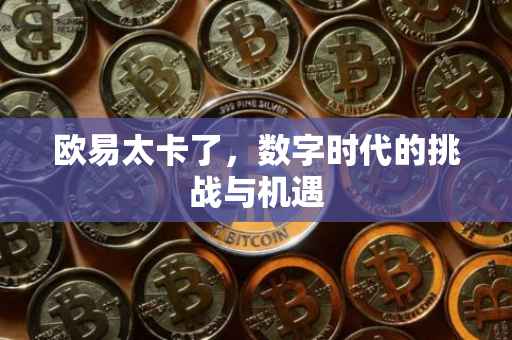 欧易太卡了，数字时代的挑战与机遇