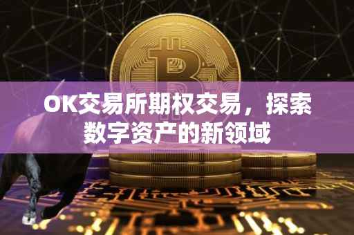 OK交易所期权交易，探索数字资产的新领域