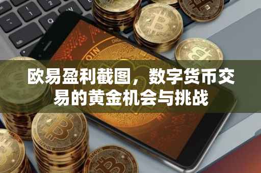 欧易盈利截图，数字货币交易的黄金机会与挑战