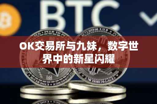 OK交易所与九妹，数字世界中的新星闪耀