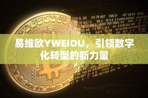 易维欧YWEIOU，引领数字化转型的新力量