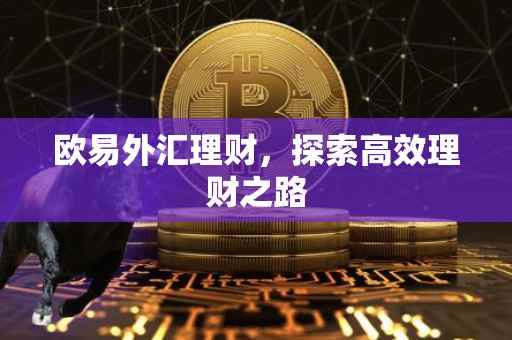 欧易外汇理财，探索高效理财之路