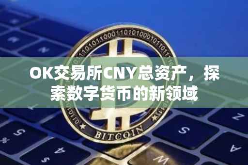 OK交易所CNY总资产，探索数字货币的新领域