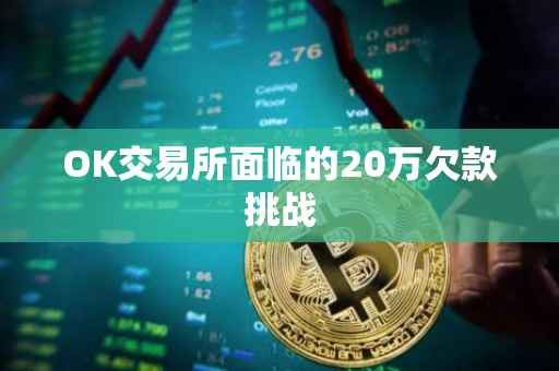 OK交易所面临的20万欠款挑战