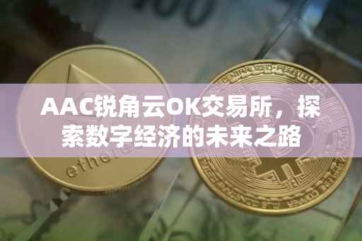 AAC锐角云OK交易所，探索数字经济的未来之路
