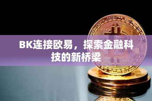 BK连接欧易，探索金融科技的新桥梁