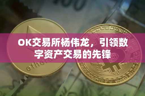 OK交易所杨伟龙，引领数字资产交易的先锋