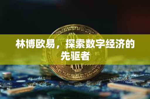 林博欧易，探索数字经济的先驱者