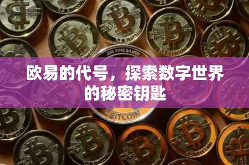 欧易的代号，探索数字世界的秘密钥匙