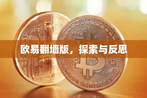 欧易翻墙版，探索与反思