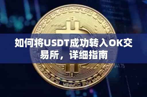如何将USDT成功转入OK交易所，详细指南