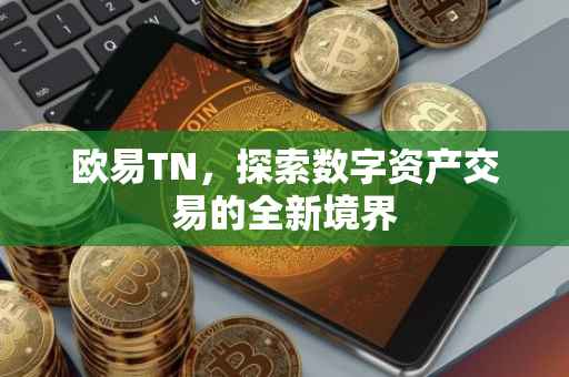 欧易TN，探索数字资产交易的全新境界