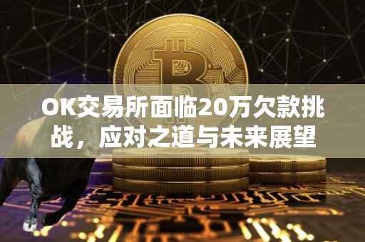 OK交易所面临20万欠款挑战，应对之道与未来展望