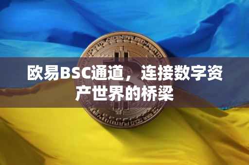 欧易BSC通道，连接数字资产世界的桥梁