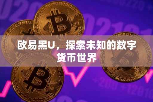 欧易黑U，探索未知的数字货币世界