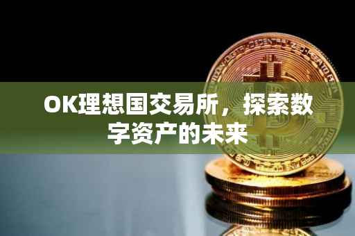 OK理想国交易所，探索数字资产的未来
