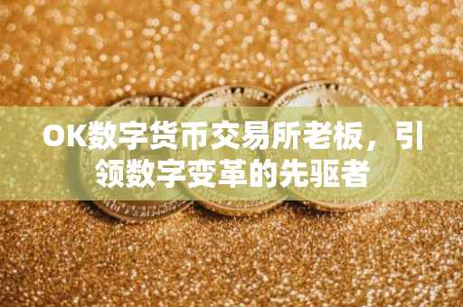 OK数字货币交易所老板，引领数字变革的先驱者