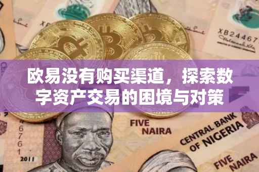 欧易没有购买渠道，探索数字资产交易的困境与对策